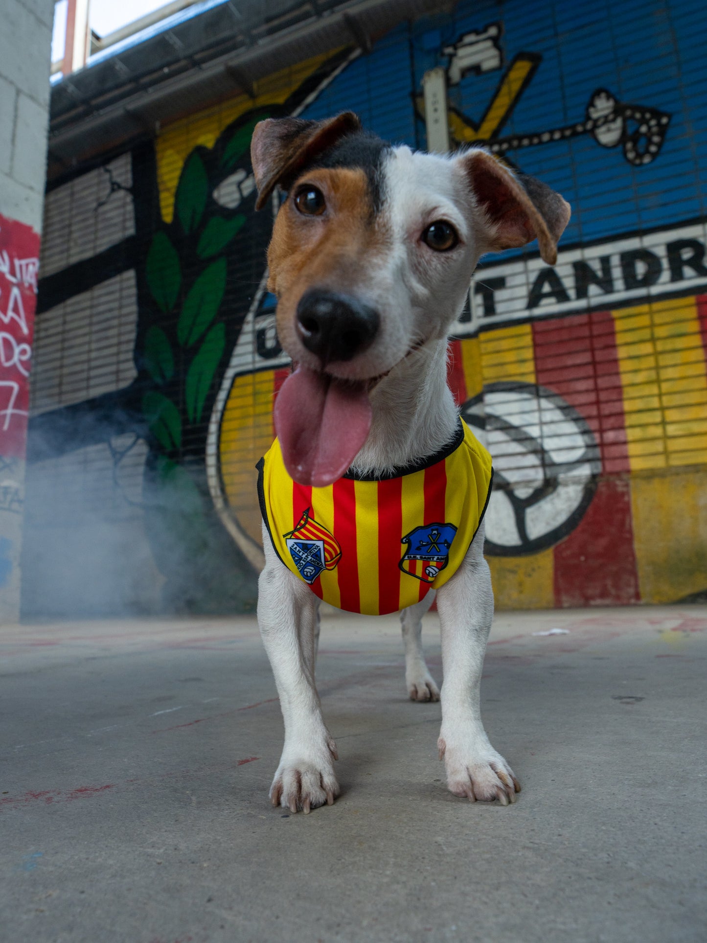 Samarreta Mascota Petita