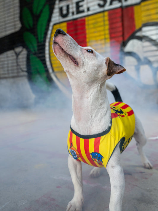 Samarreta Mascota Petita