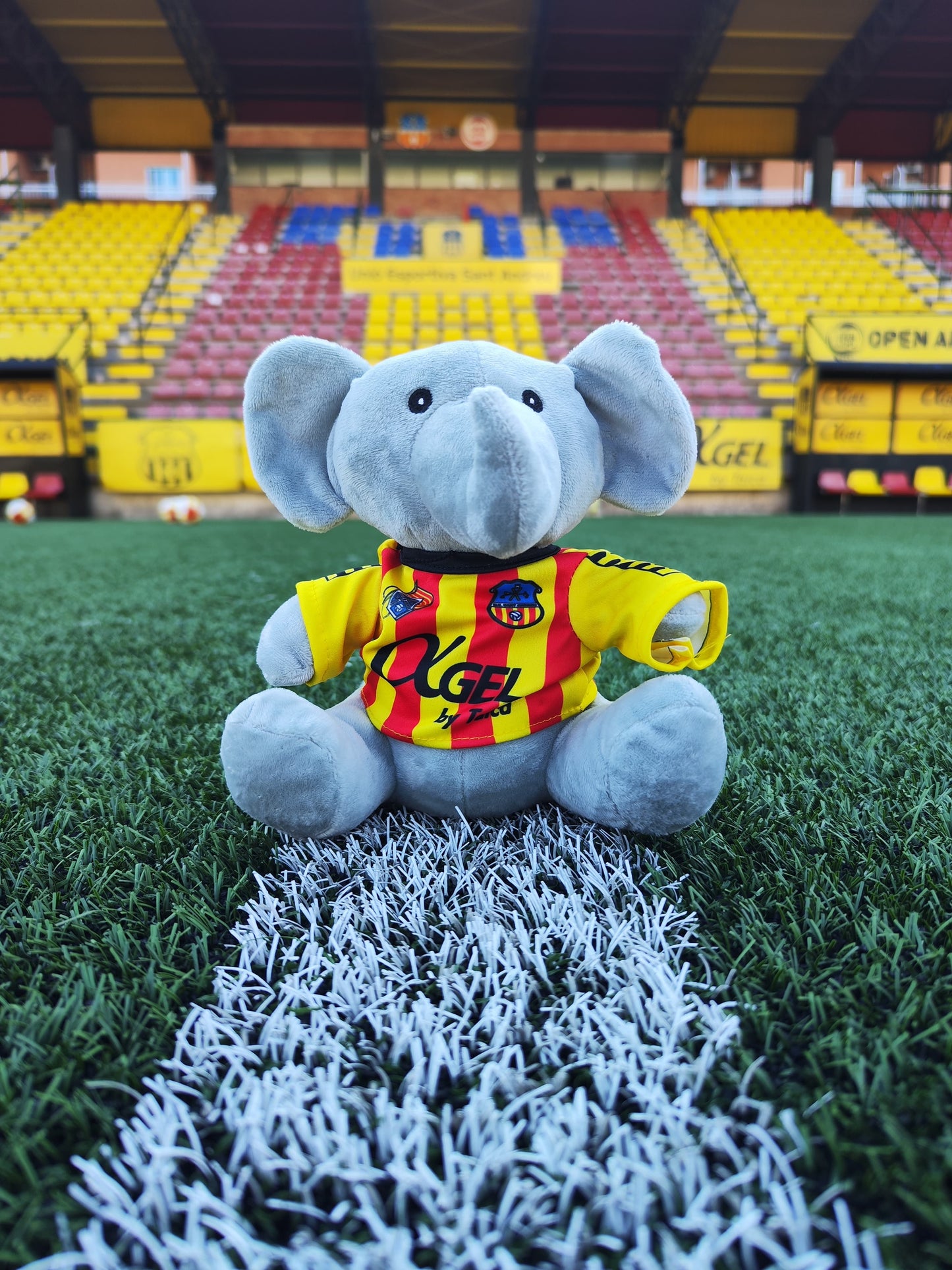 Elefant