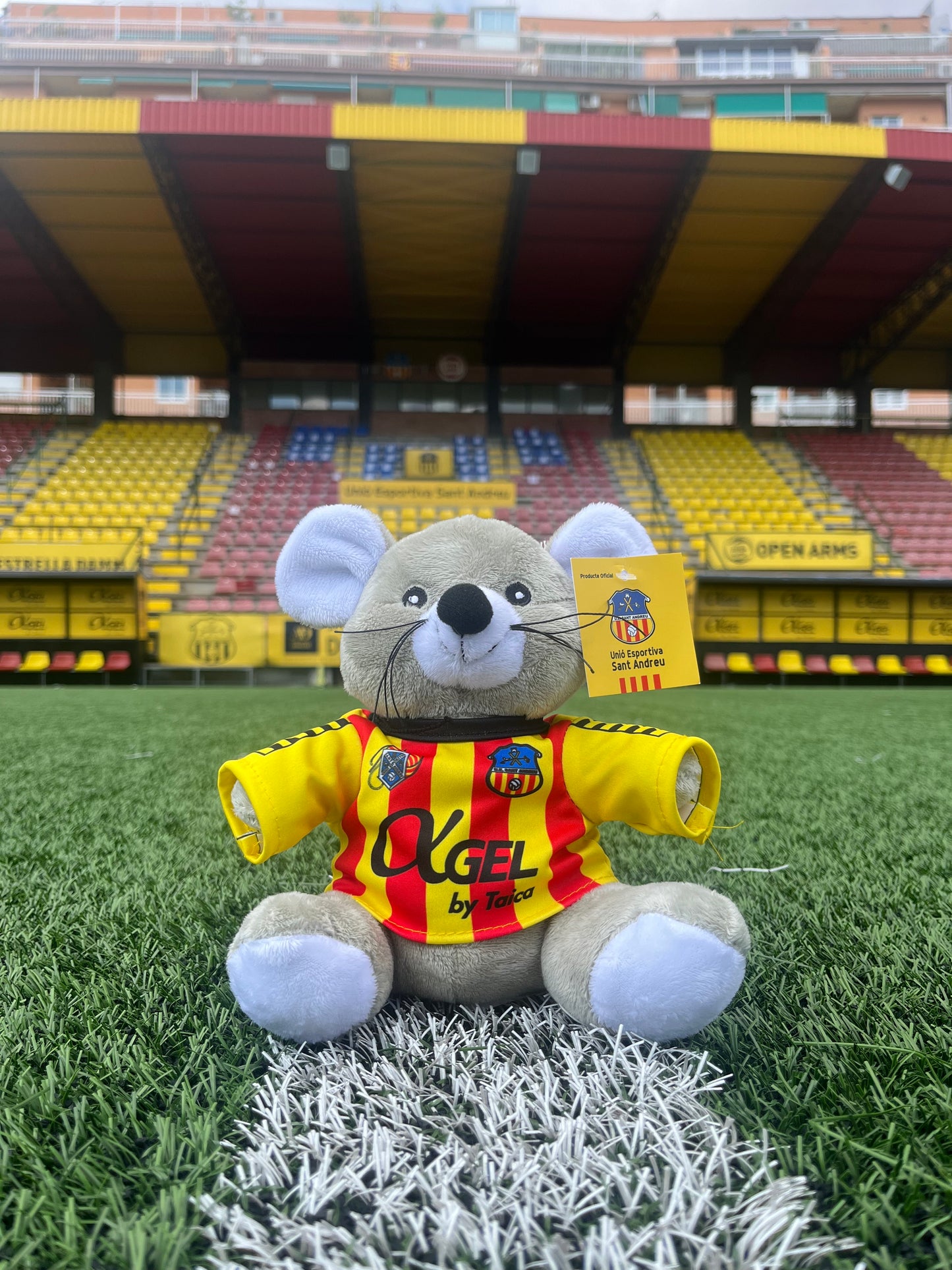 Ratolí