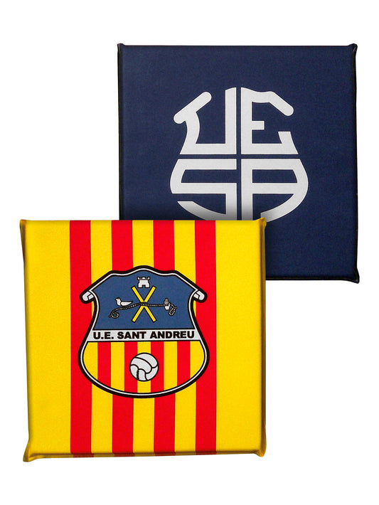 Coixinet Estadi