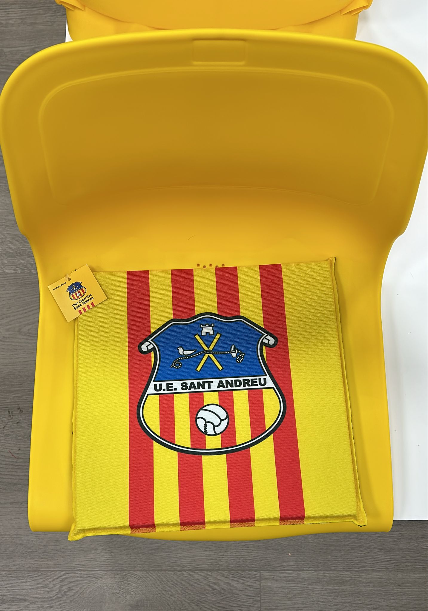 Coixí estadi